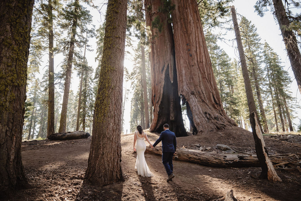 Couple having a first look in sequoia national park 
Top 5 reasons to elope in sequoia national park