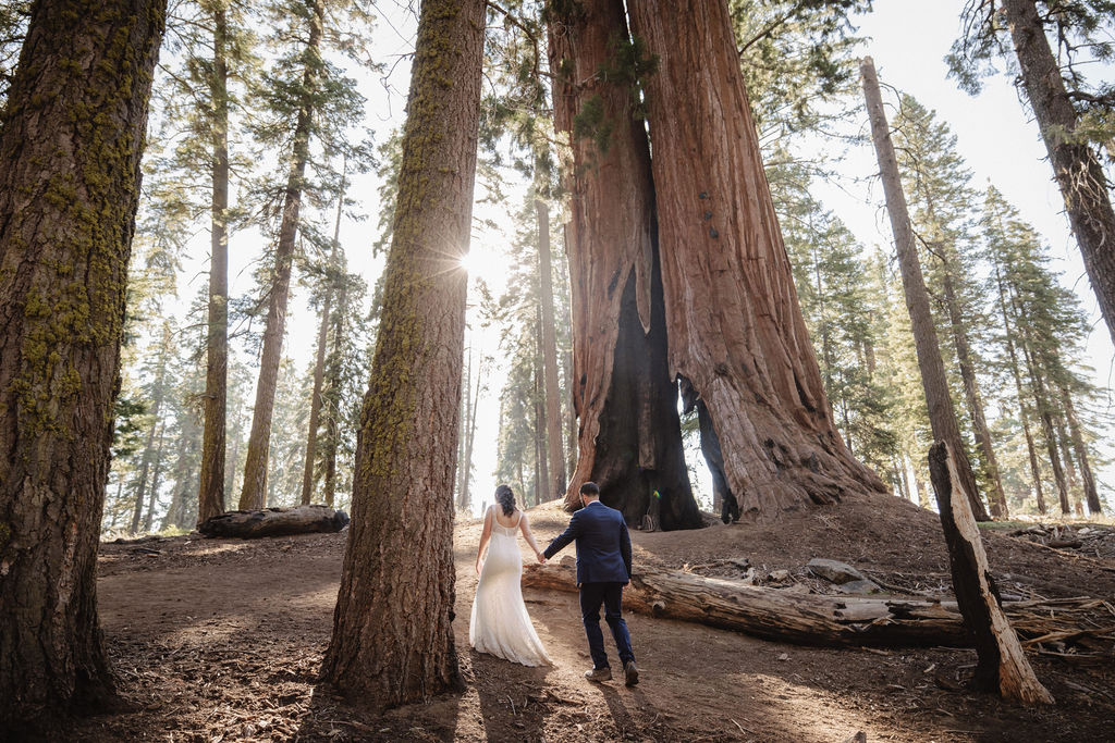 Couple having a first look in sequoia national park 
Top 5 reasons to elope in sequoia national park