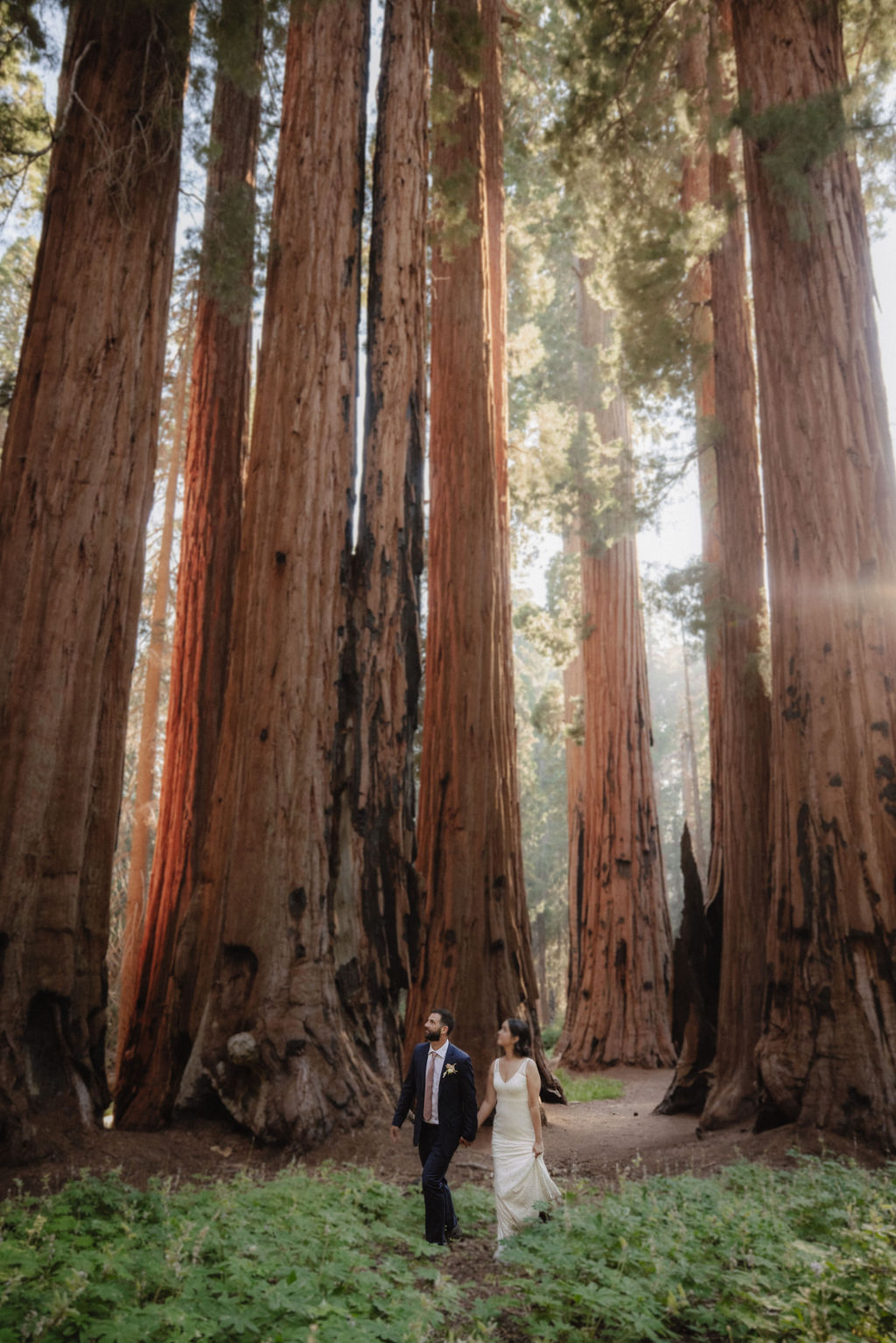 couple in sequoia national park near sequoias for their elopement 
Top 5 reasons to elope in sequoia national park