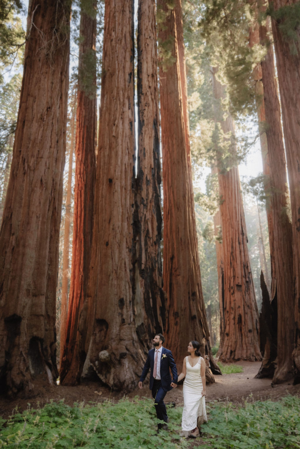 couple in sequoia national park near sequoias for their elopement 
Top 5 reasons to elope in sequoia national park