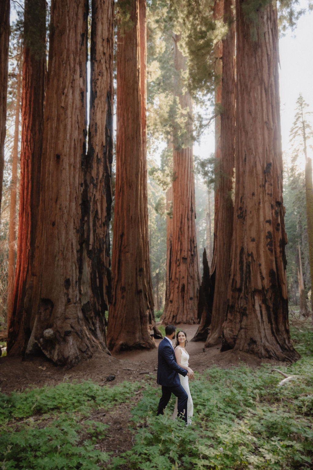 couple in sequoia national park near sequoias for their elopement 
Top 5 reasons to elope in sequoia national park