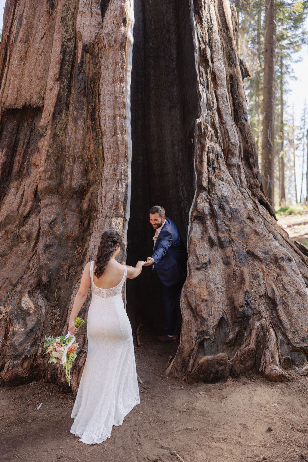 couple in sequoia national park near sequoias for their elopement Top 5 reasons to elope in sequoia national park