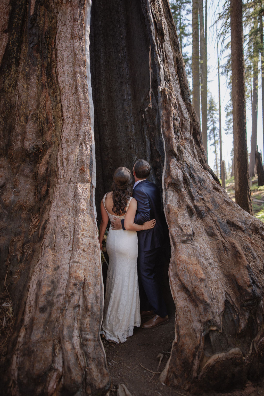 couple in sequoia national park near sequoias for their elopement Top 5 reasons to elope in sequoia national park