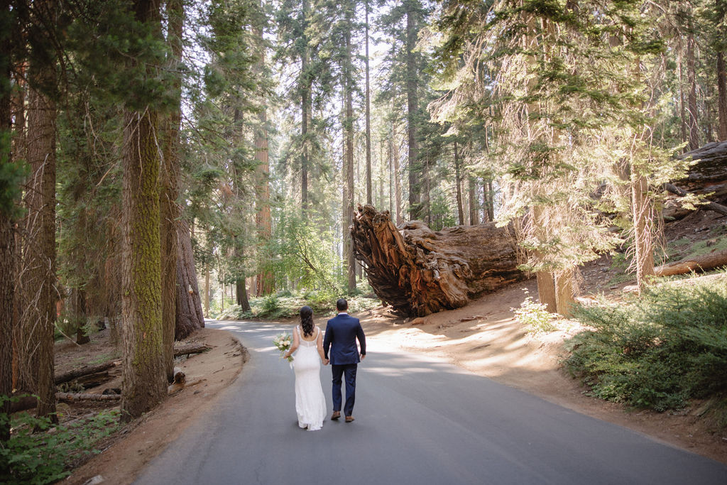 couple in sequoia national park near sequoias for their elopement Top 5 reasons to elope in sequoia national park