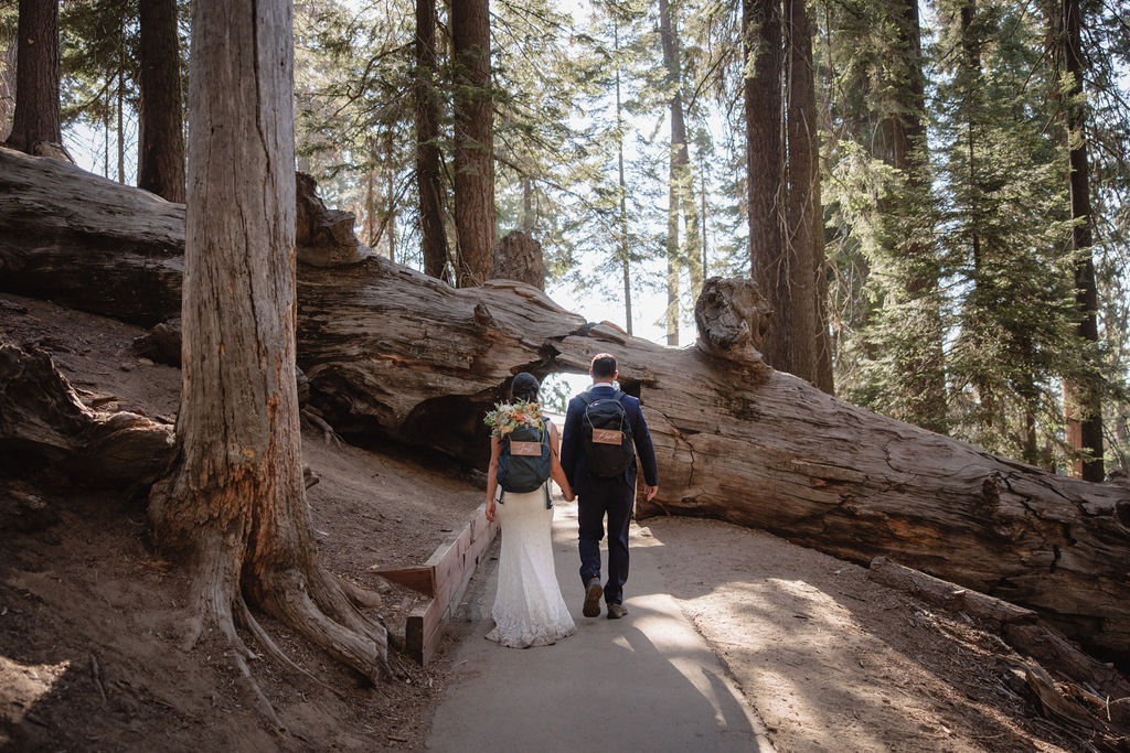 Two people in formal attire walk holding hands, each carrying backpacks with wooden signs. One sign reads "Just," and the other reads "Eloped.
Top 5 reasons to elope in sequoia national park