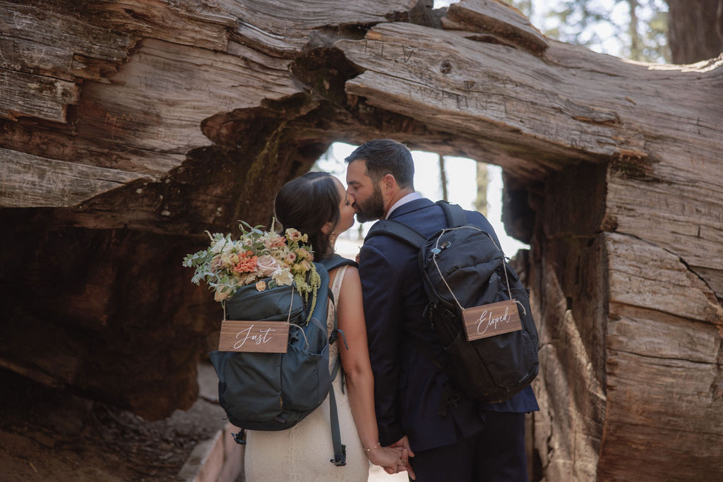 Two people in formal attire walk holding hands, each carrying backpacks with wooden signs. One sign reads "Just," and the other reads "Eloped. Top 5 reasons to elope in sequoia national park