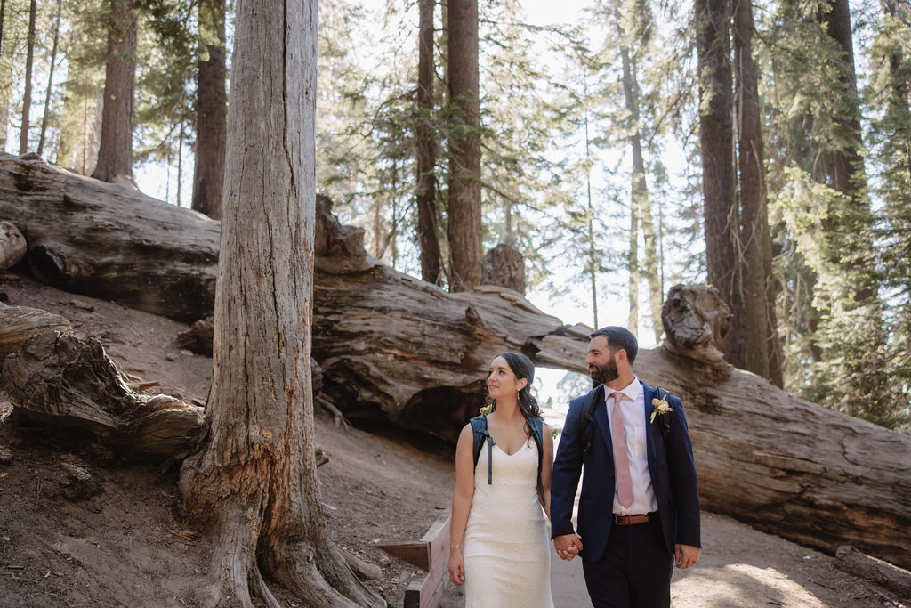 couple in sequoia national park near sequoias for their elopement Top 5 reasons to elope in sequoia national park