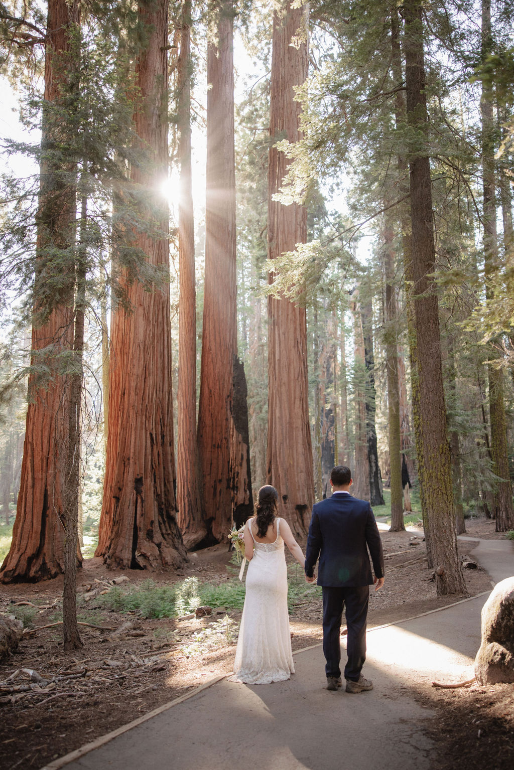 couple in sequoia national park near sequoias for their elopement Top 5 reasons to elope in sequoia national park