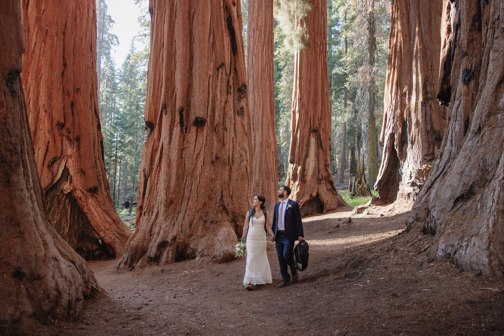 couple in sequoia national park near sequoias for their elopement Top 5 reasons to elope in sequoia national park