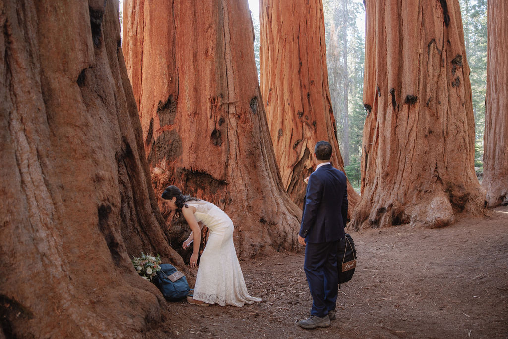 couple in sequoia national park near sequoias for their elopement Top 5 reasons to elope in sequoia national park