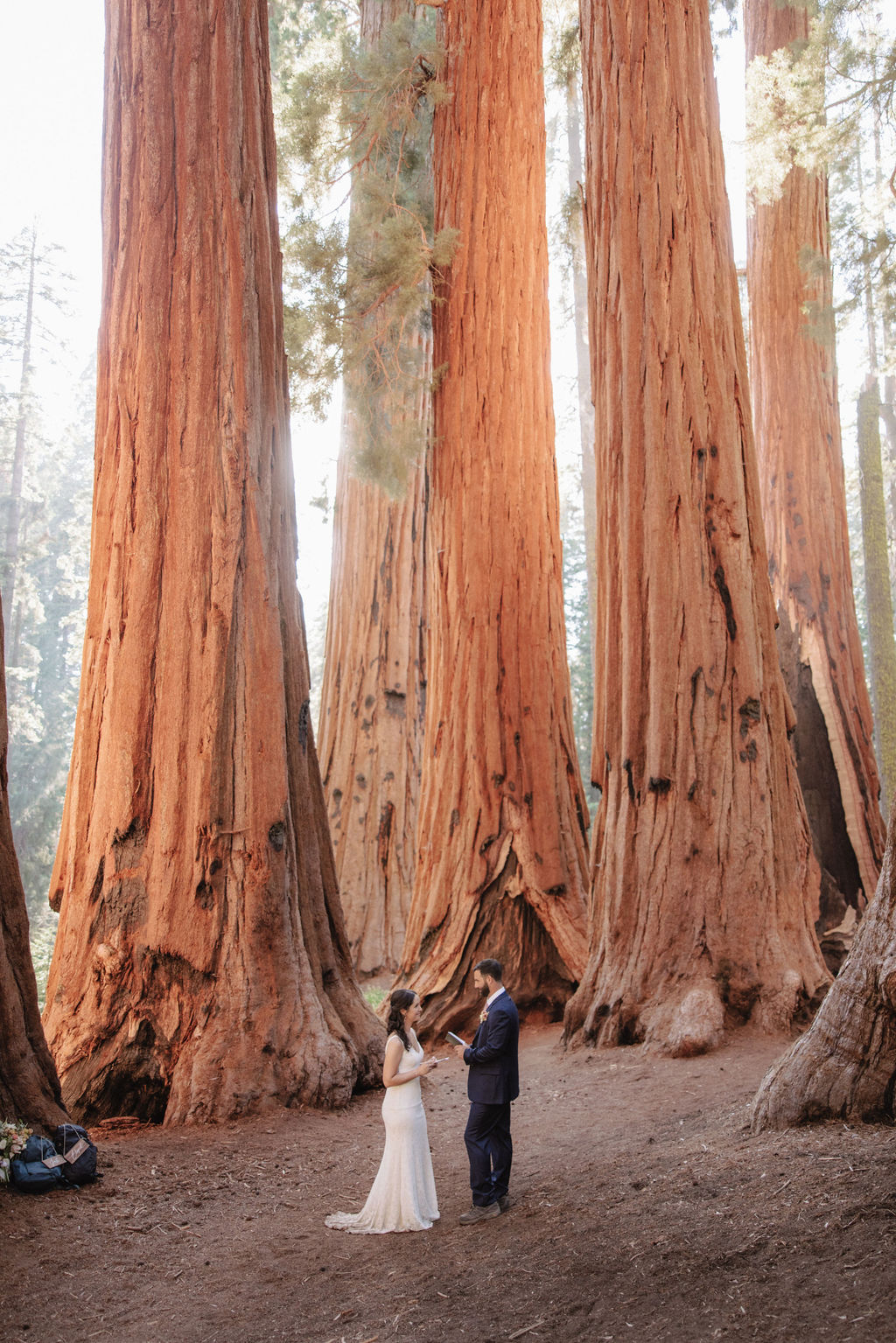 couple in sequoia national park near sequoias for their elopement Top 5 reasons to elope in sequoia national park