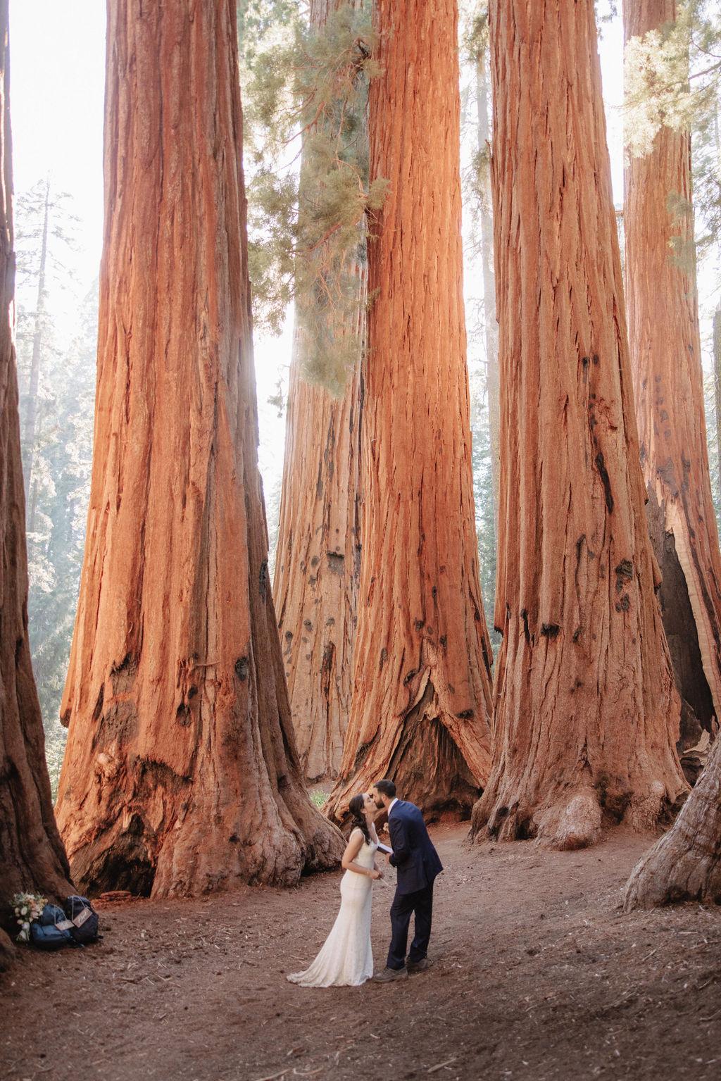 couple in sequoia national park near sequoias for their elopement Top 5 reasons to elope in sequoia national park