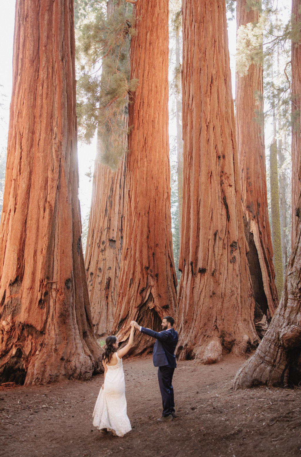 couple in sequoia national park near sequoias for their elopement Top 5 reasons to elope in sequoia national park