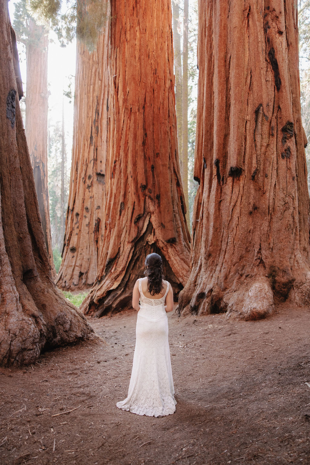 A bride in a white gown holds a bouquet while standing in front of large redwood trees 
Top 5 reasons to elope in sequoia national park