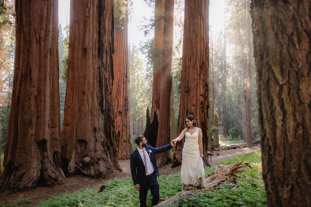 A couple, dressed in formal attire, holds hands while walking on a fallen tree trunk amidst tall trees in a forest setting.