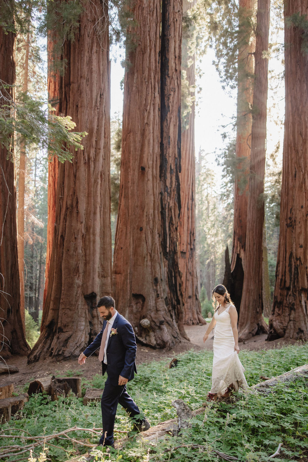 A couple, dressed in formal attire, holds hands while walking on a fallen tree trunk amidst tall trees in a forest setting.