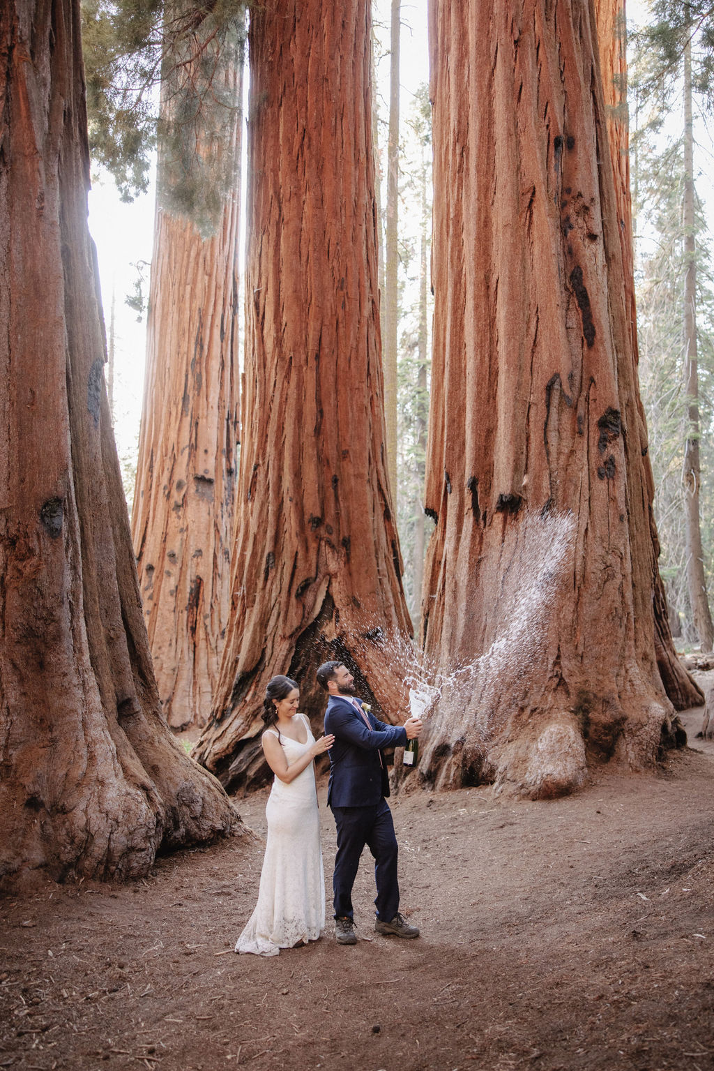 A couple in formal attire stands in a forest of large trees while the man pops a bottle of champagne, causing a spray of bubbles