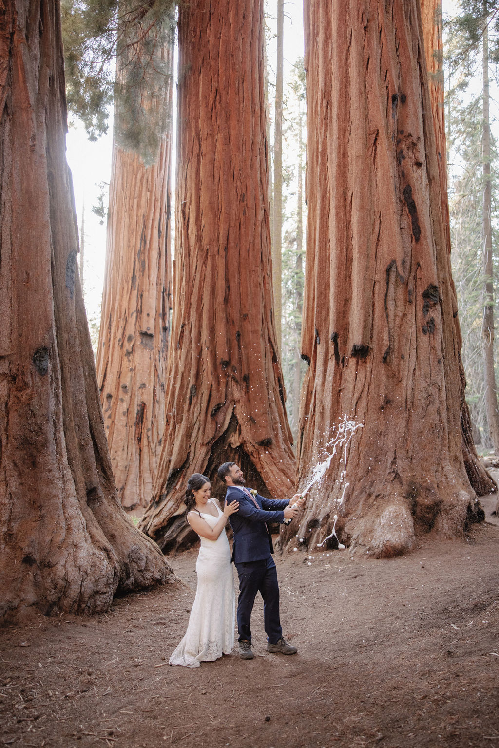 A couple in formal attire stands in a forest of large trees while the man pops a bottle of champagne, causing a spray of bubbles