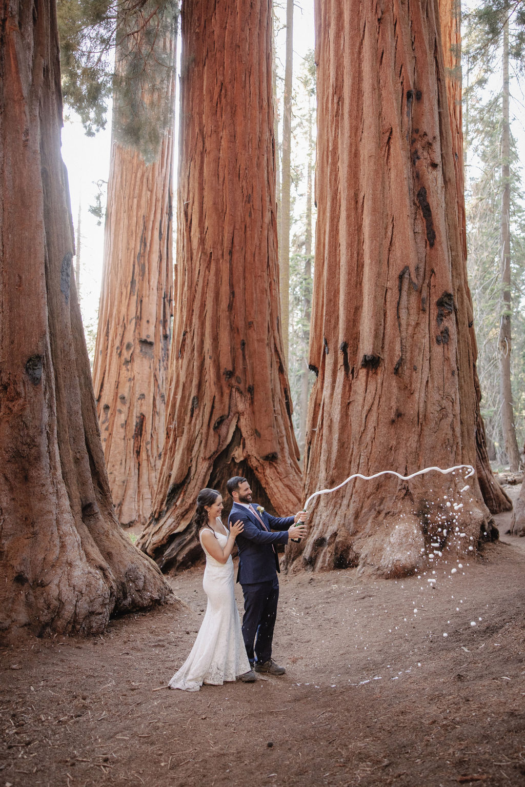 A couple in formal attire stands in a forest of large trees while the man pops a bottle of champagne, causing a spray of bubbles