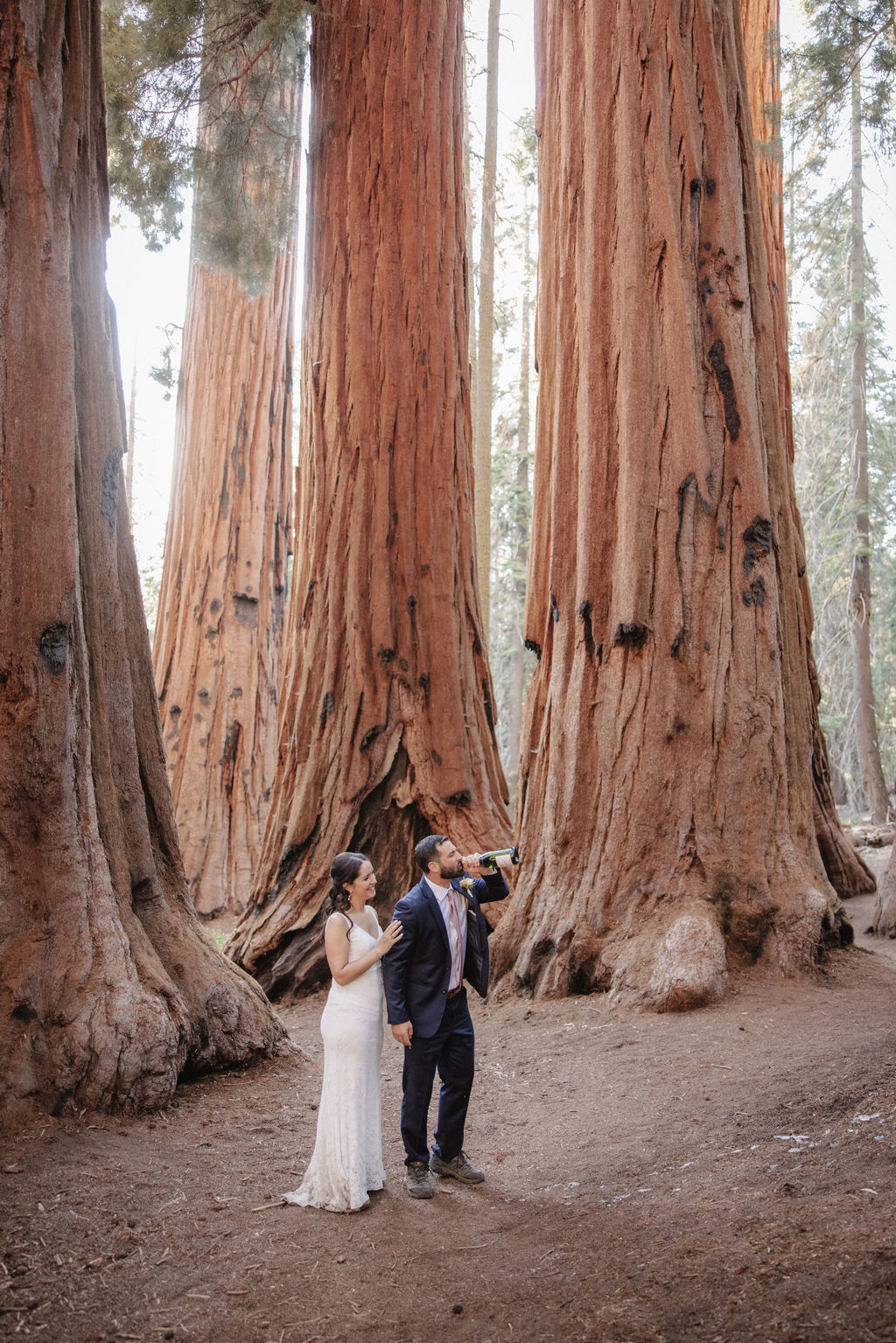 A couple in formal attire stands in a forest of large trees while the man pops a bottle of champagne, causing a spray of bubbles