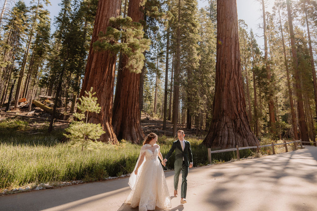 A newlywed couple walks hand-in-hand on a paved path through a forest of tall sequoia trees. The bride wears a white dress, and the groom is in a dark suit. what to pack for a yosemite elopement