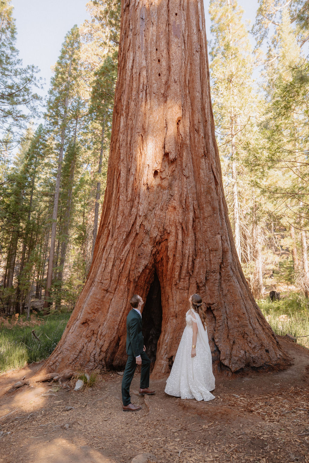 couple walking through mariposa grove at yosemite national park for their elopement