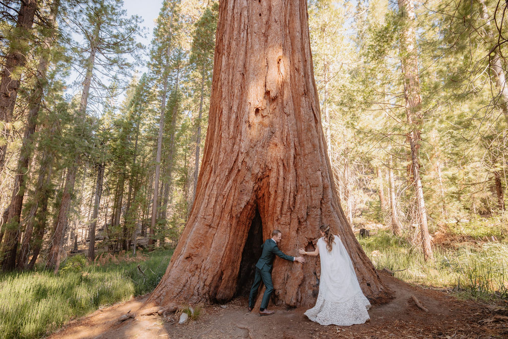 couple walking through mariposa grove at yosemite national park for their elopement