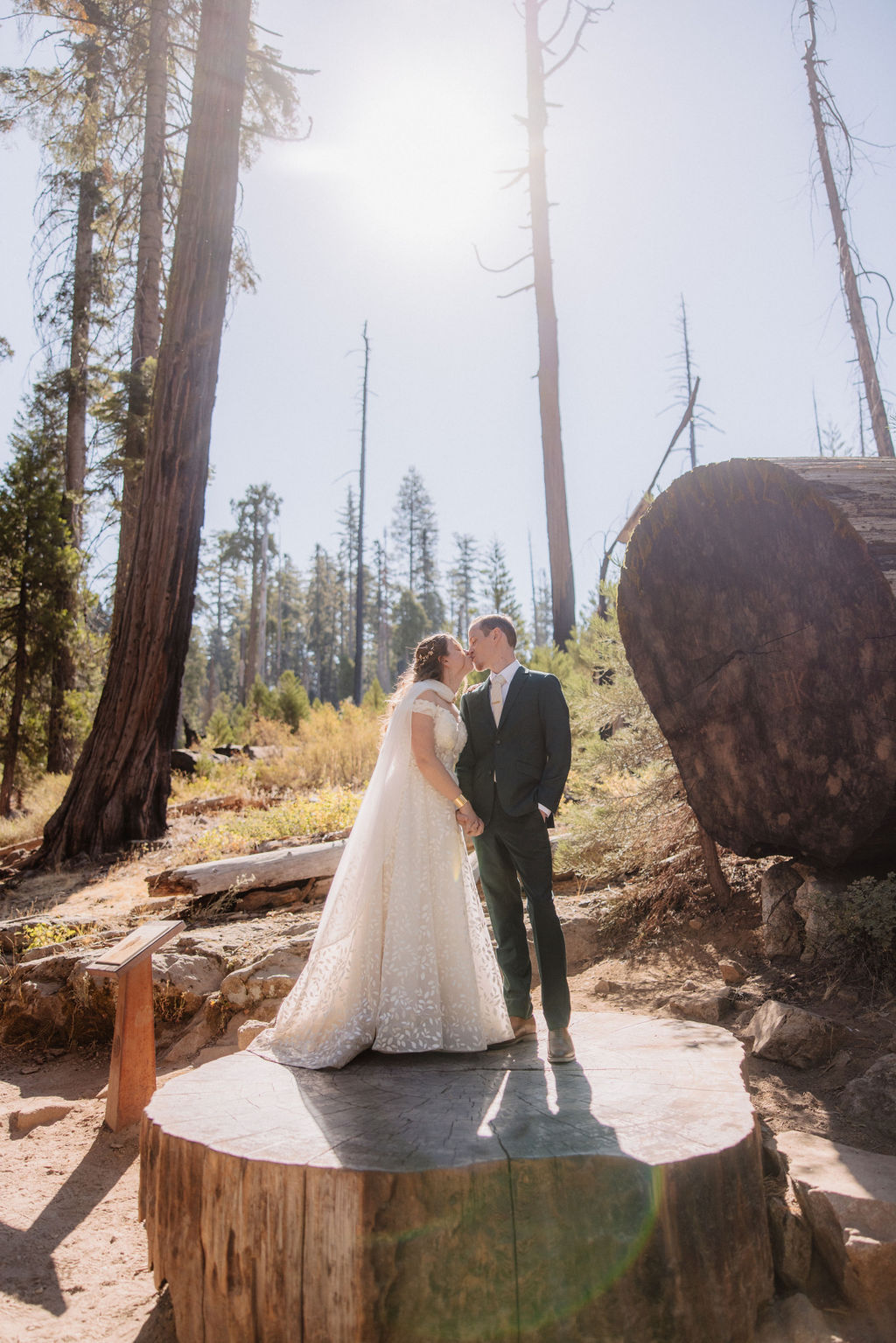 couple walking through mariposa grove at yosemite national park 