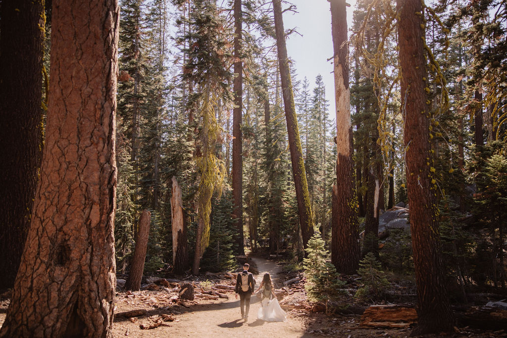 couple hiking through the woods during their yosemite elopement| best views at Yosemite National Park