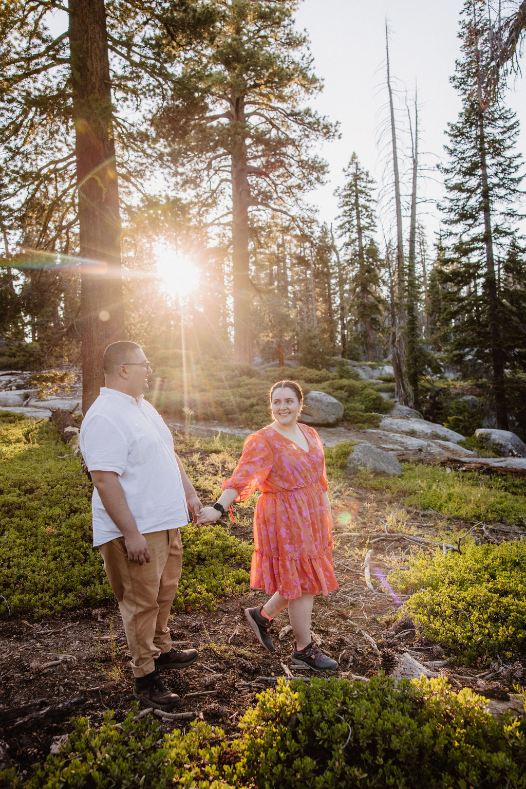 A couple embraces in a sunlit forest, surrounded by tall trees and greenery.