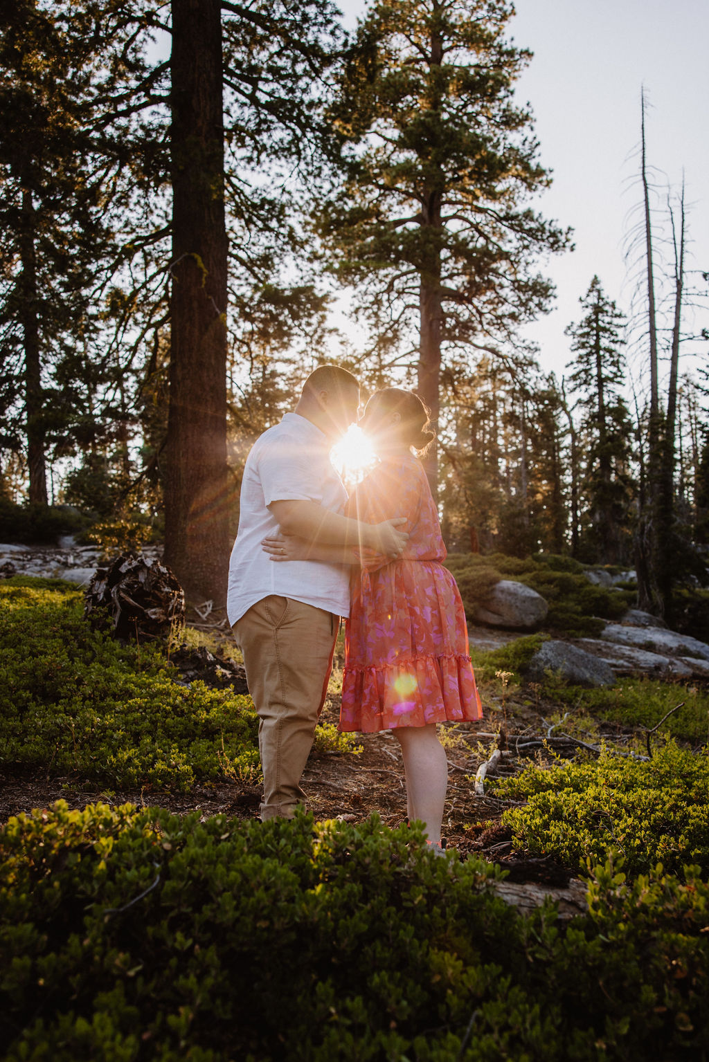 A couple embraces in a sunlit forest, surrounded by tall trees and greenery.