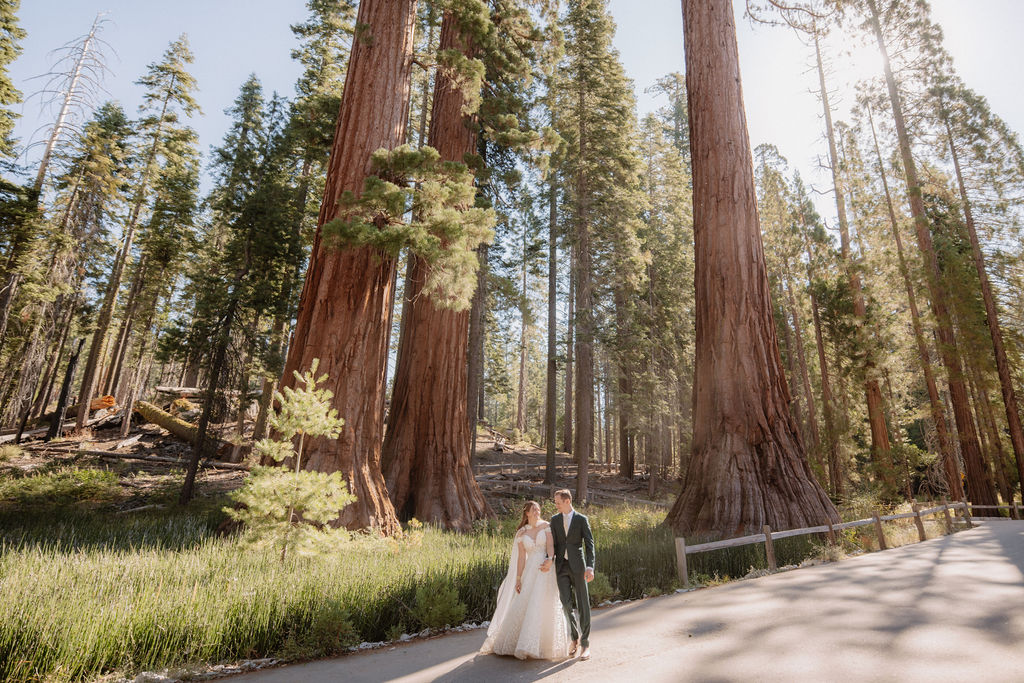 A couple in wedding attire walks through a forested path surrounded by tall trees at Mariposa Grove