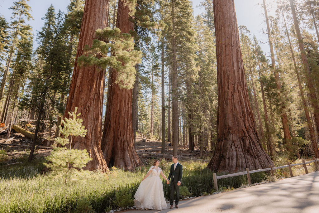 A couple in wedding attire walks through a forested path surrounded by tall trees at Mariposa Grove