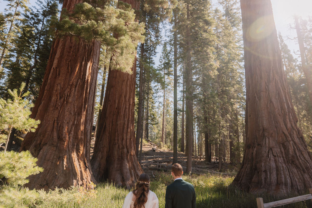 A couple in wedding attire walks through a forested path surrounded by tall trees at Mariposa Grove