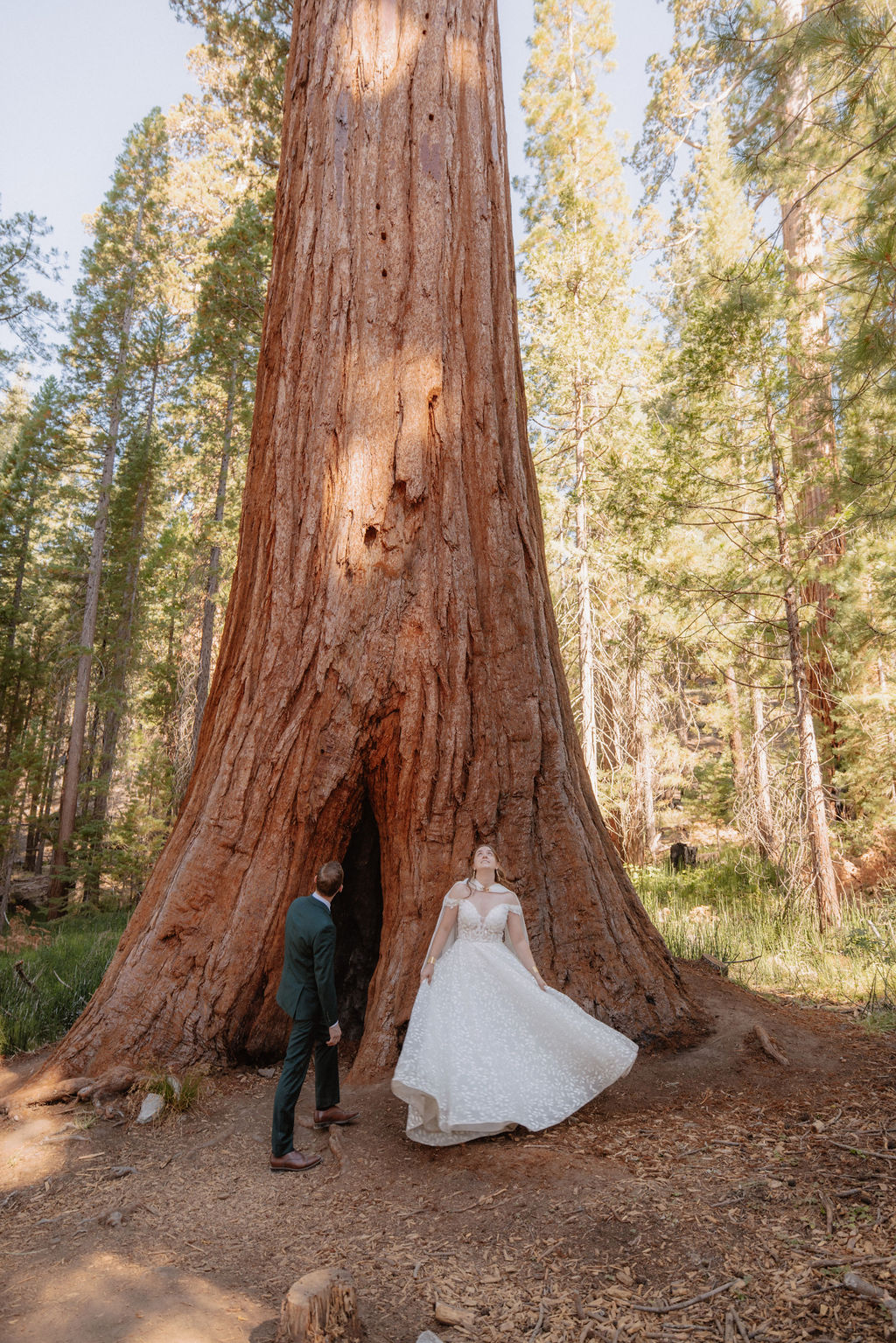 couple walking through mariposa grove at yosemite national park for their elopement