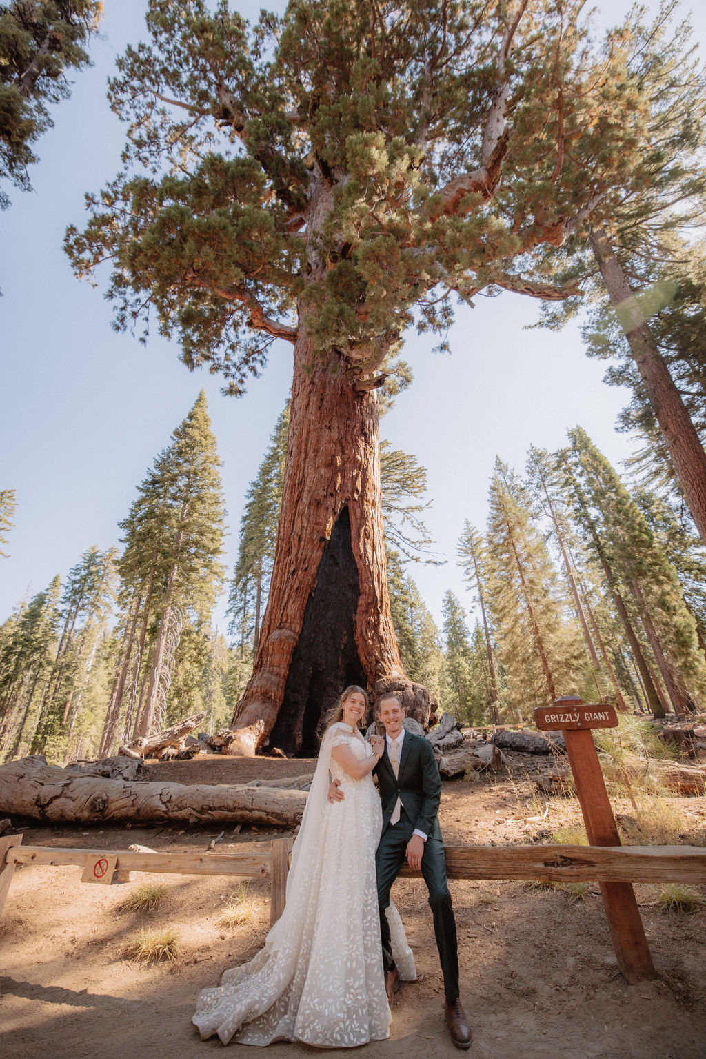 couple walking through mariposa grove at yosemite national park for their elopement