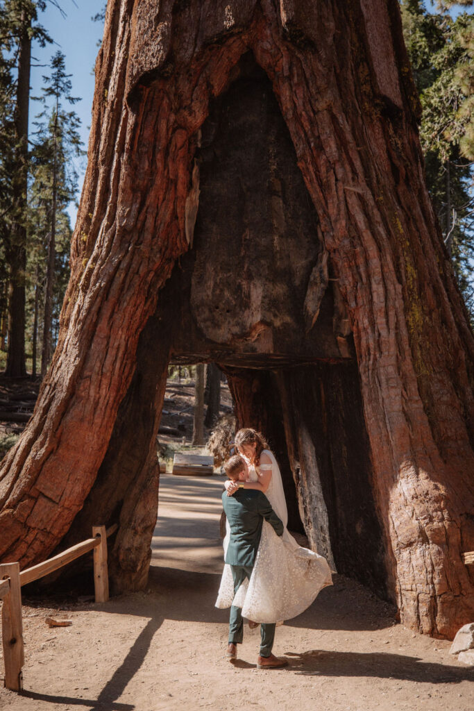 couple walking through mariposa grove at yosemite national park for their elopement