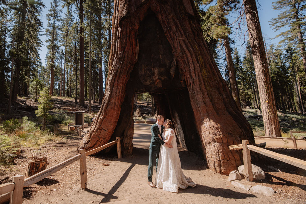 couple walking through mariposa grove at yosemite national park for their elopement