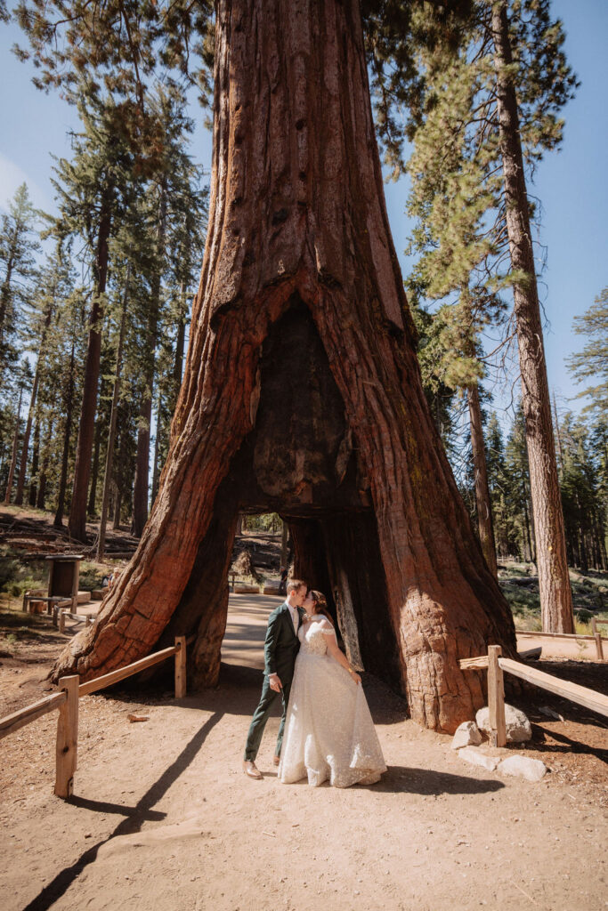 couple walking through mariposa grove at yosemite national park for their elopement