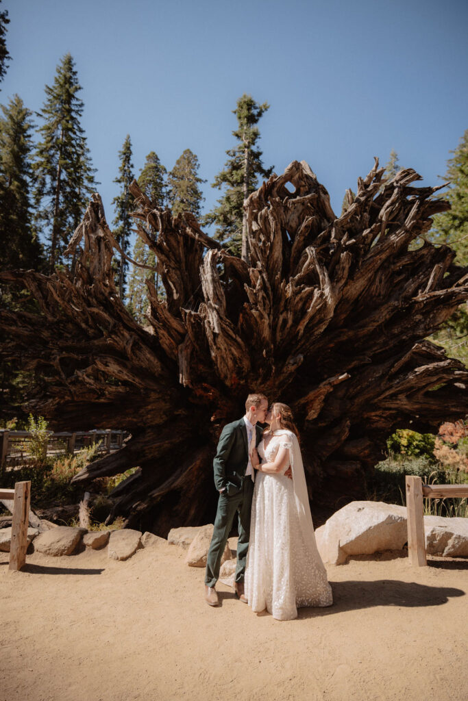 couple walking through mariposa grove at yosemite national park for their elopement