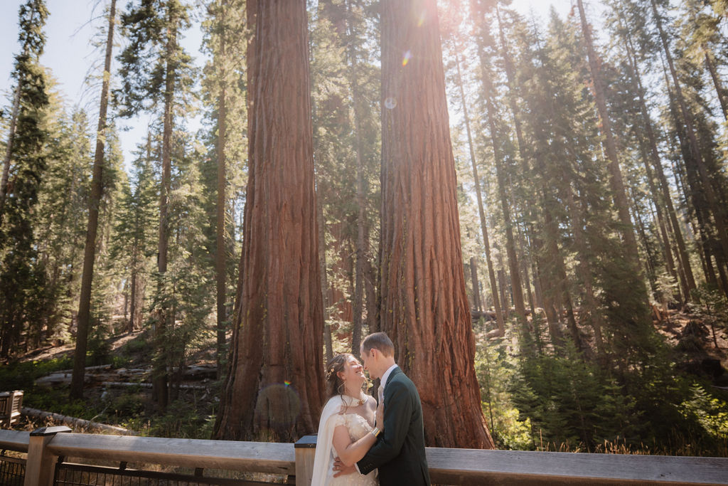 couple walking through mariposa grove at yosemite national park for their elopement