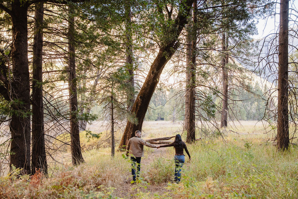 Two people holding hands walk through a forest with tall trees and a grassy clearing in the background.