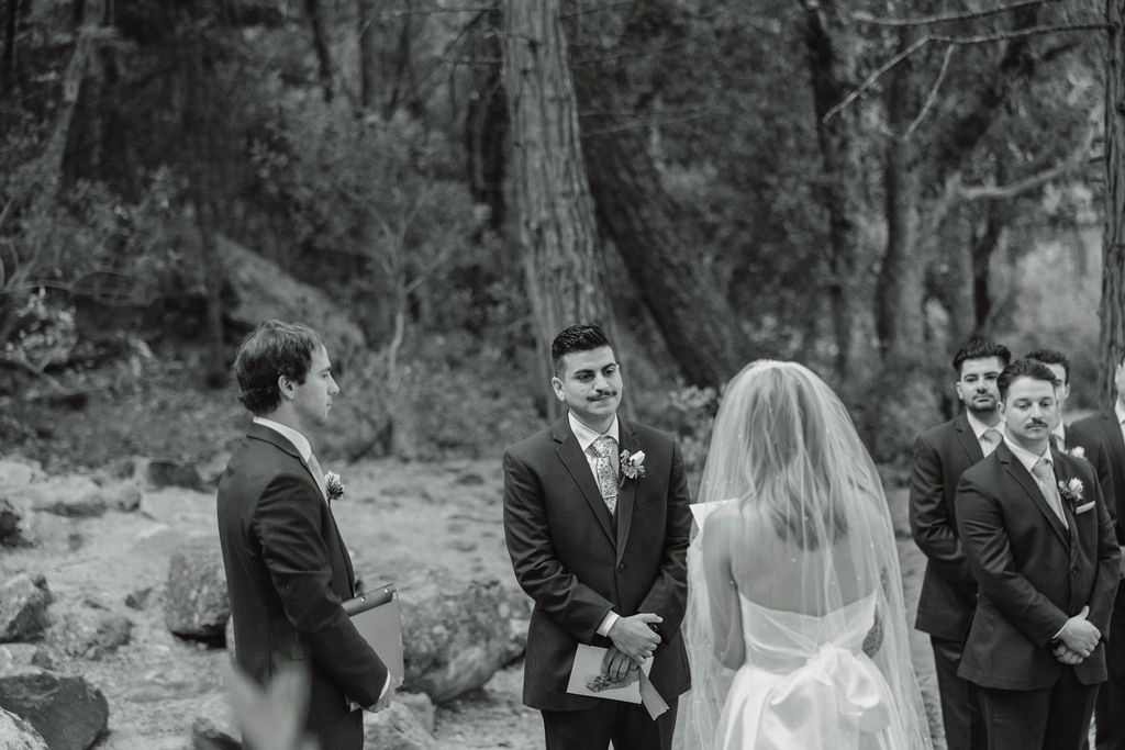 A wedding ceremony taking place outdoors near a waterfall, surrounded by trees. The couple stands with an officiant, while two other people stand nearby.