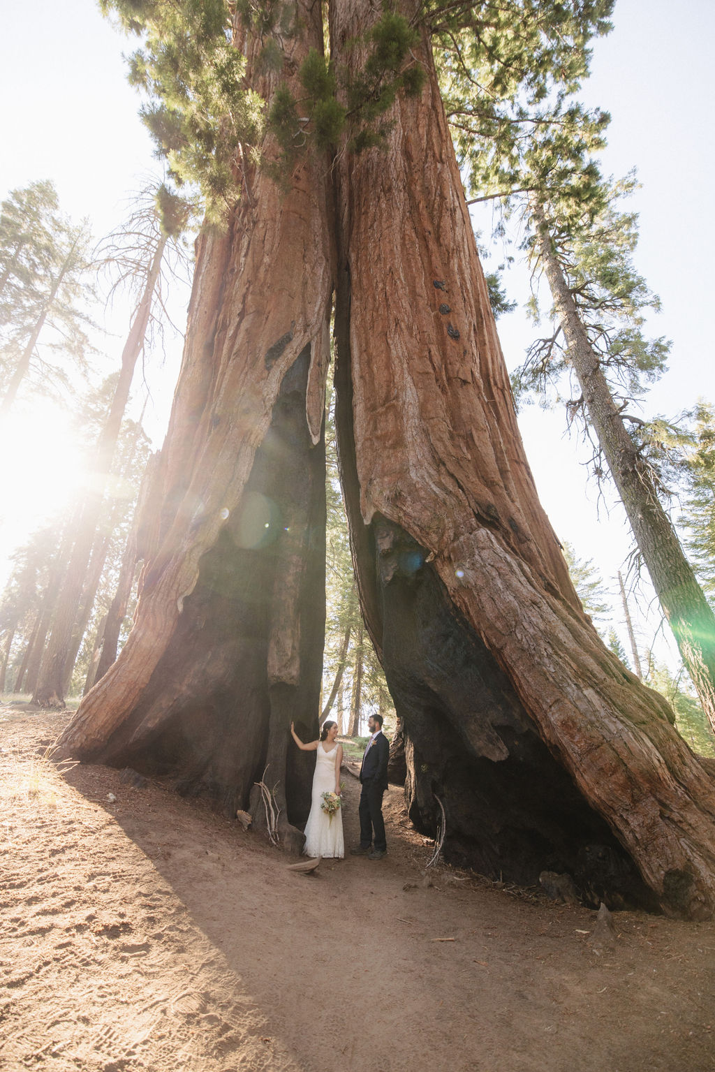 A couple stands near a large, hollowed-out tree trunk in a forest, with the groom holding the bride's hand. | The Difference Between an Elopement and a Traditional Wedding