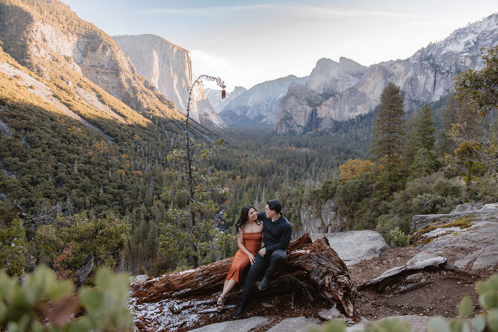 A couple sits on a fallen log, with a scenic mountain view in the background, surrounded by trees and a clear sky.