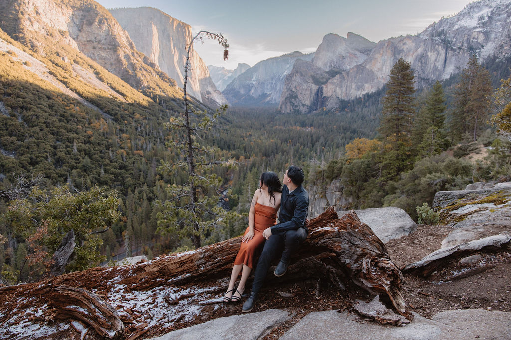 A couple sits on a fallen log, with a scenic mountain view in the background, surrounded by trees and a clear sky.