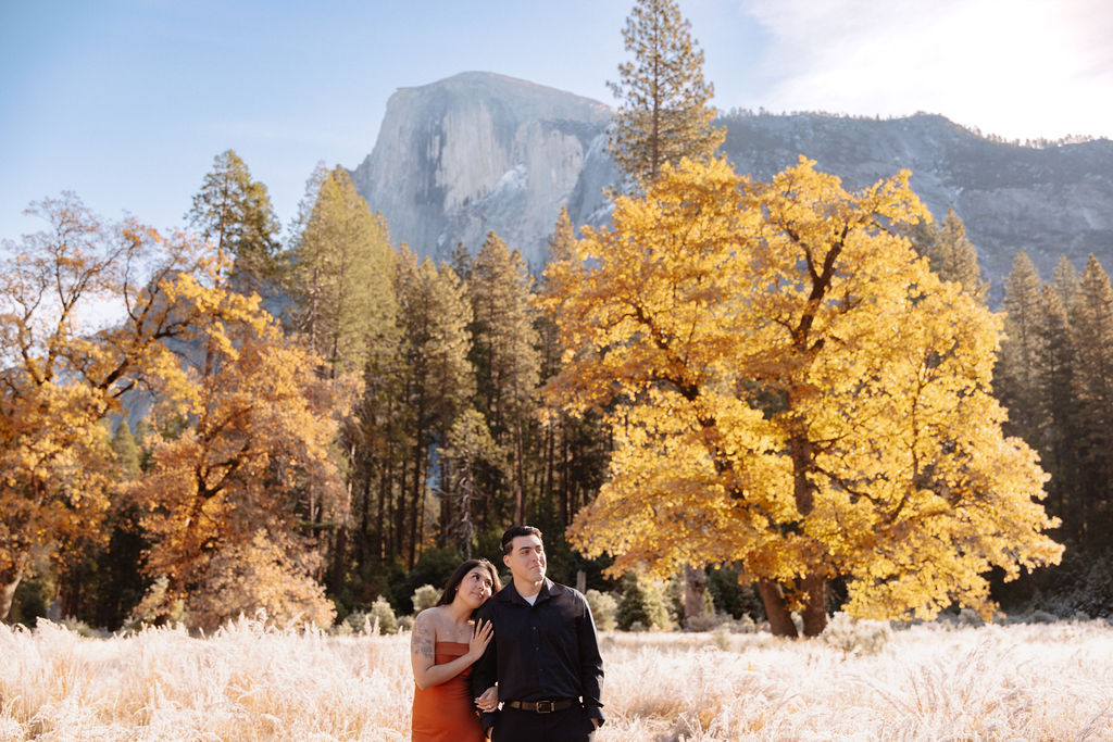 A couple stands in a scenic field with autumn trees and a mountain in the background for yosemite fall photos