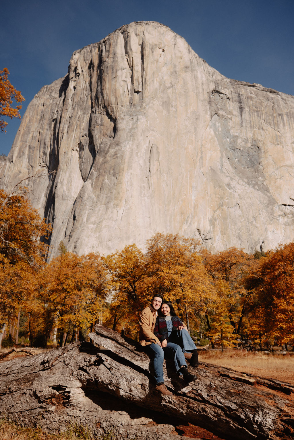 A couple sits on a fallen log in front of a large rock formation, surrounded by autumn trees for their yosemite fall photos