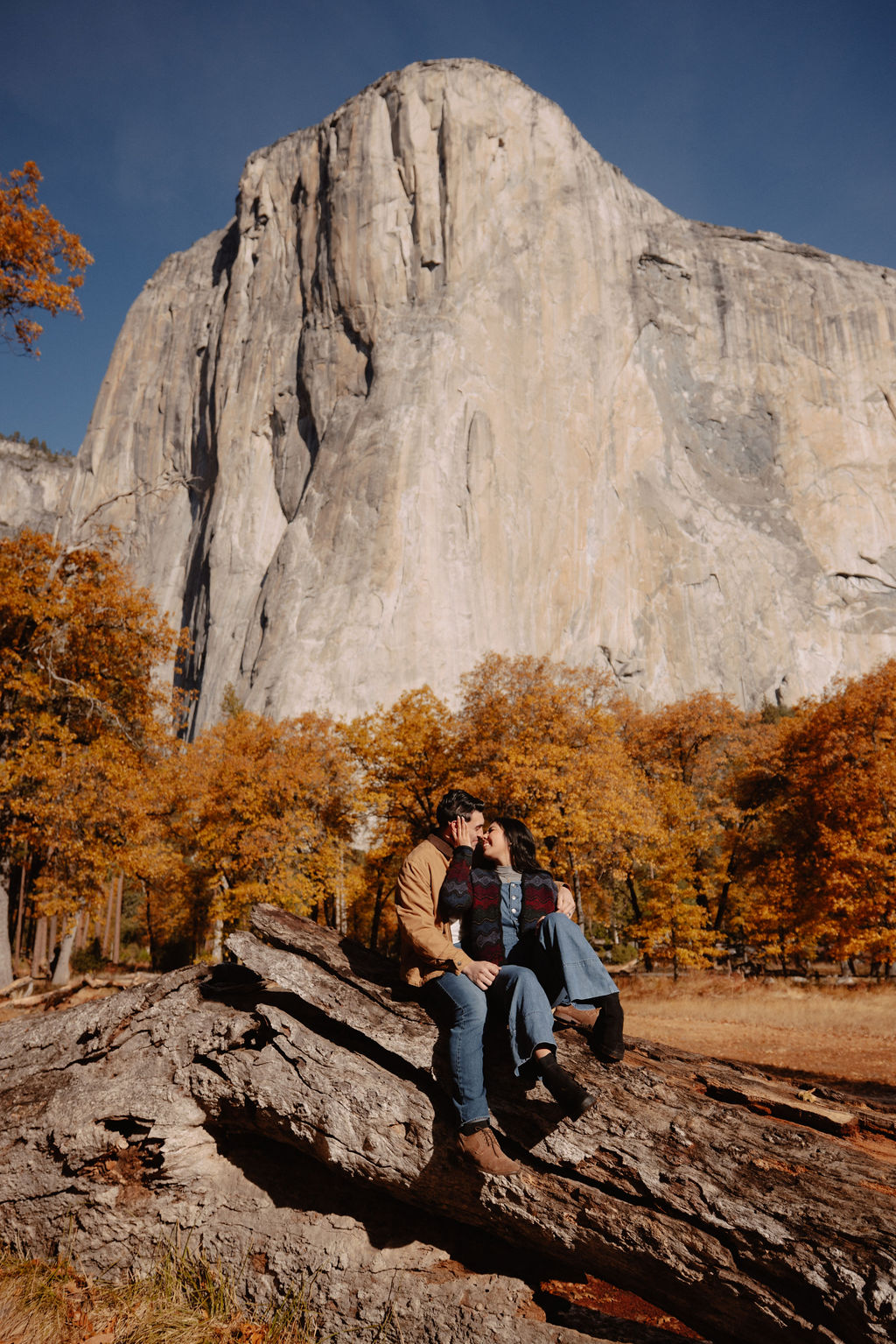 A couple sits on a fallen log in front of a large rock formation, surrounded by autumn trees for their yosemite fall photos