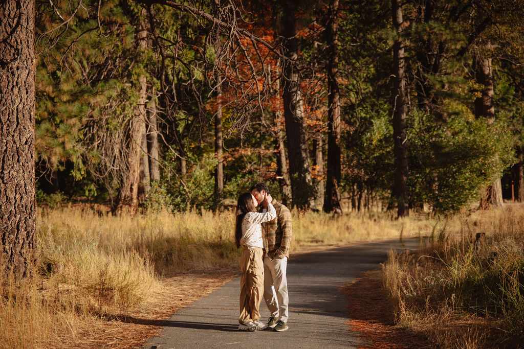 A couple stands in a sunlit field surrounded by trees, looking at each other affectionately. Sunlight creates a warm, golden glow taken by a yosemite proposal photographer